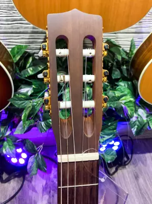 La Patrie Guitars - LP0340 Etude Nylon Guitar 2